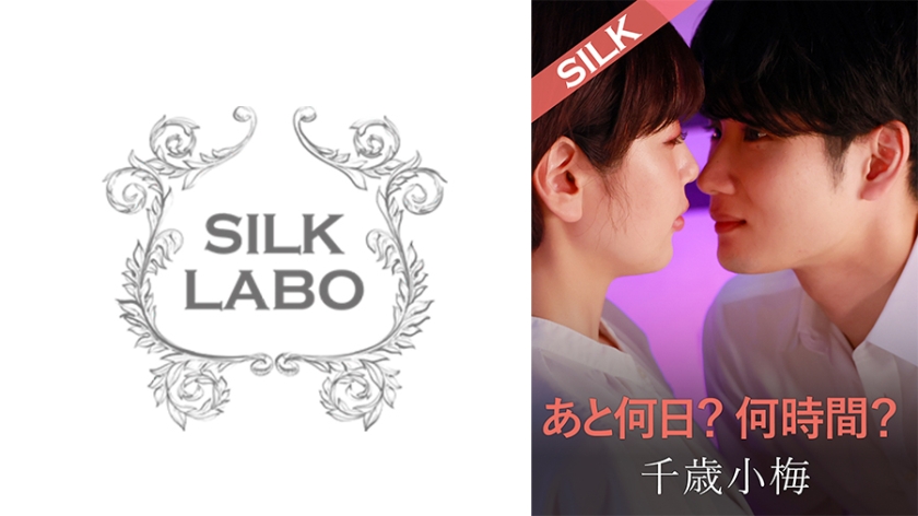 Pb e 220silk