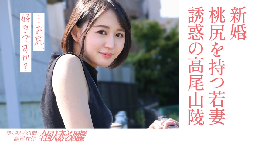 Pb e 336knb