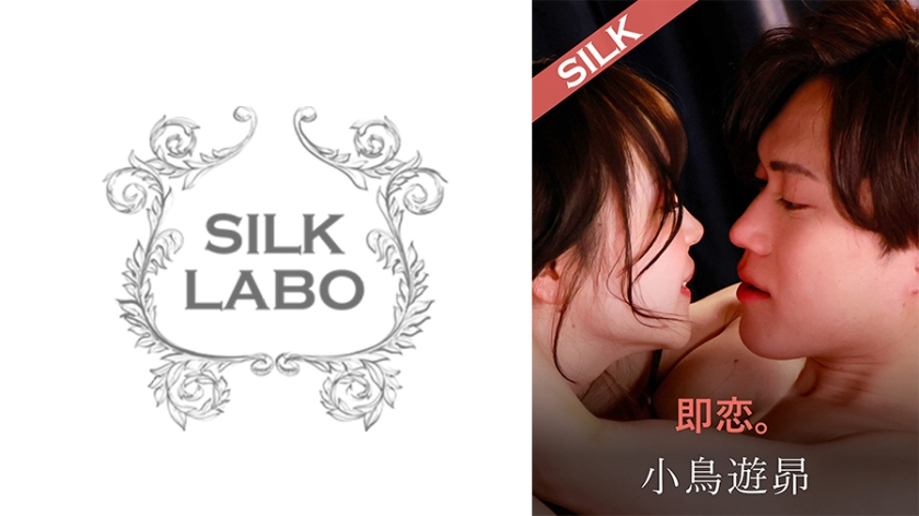 Pb e 220silk