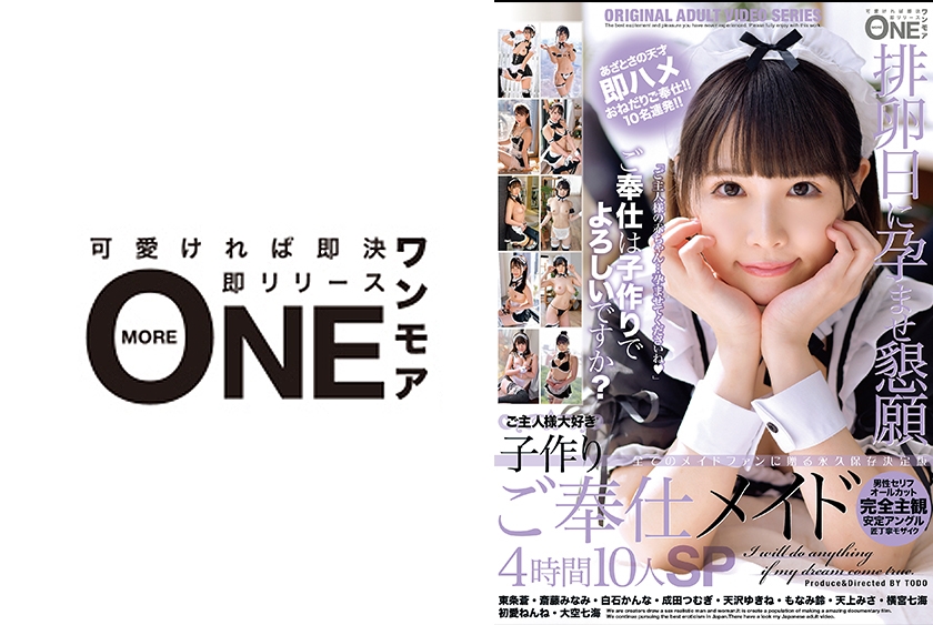 Pb e 013onez